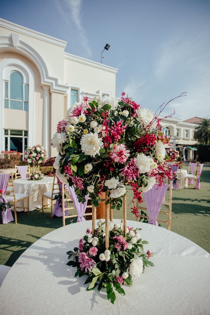 pexels photo 32994475.jpeg